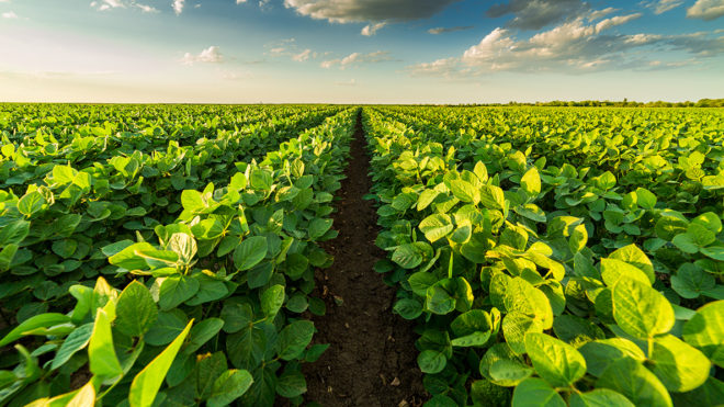 Soybean Technology for the Roaring '20s