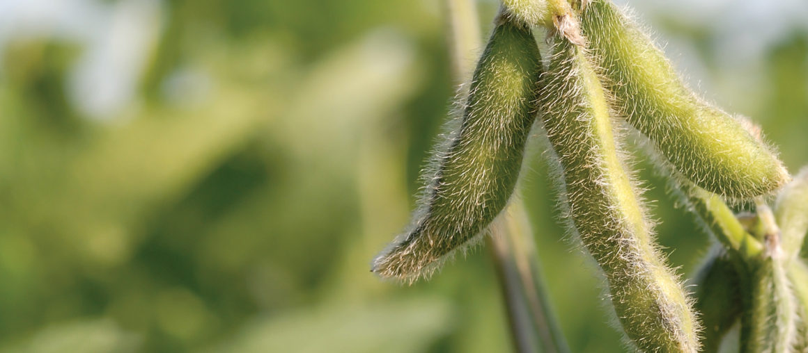 Rev Up Your Soybean Protection