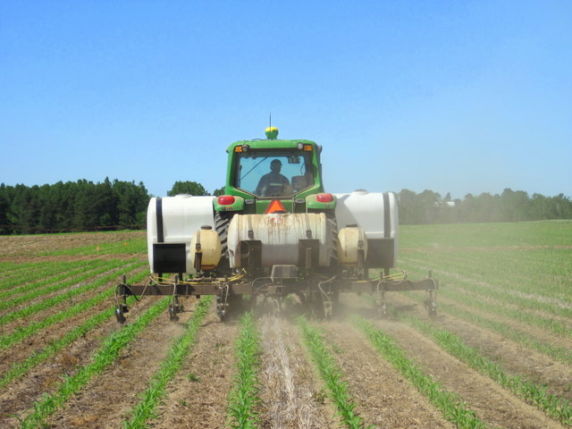 Corn & Early Sidedress Nitrogen