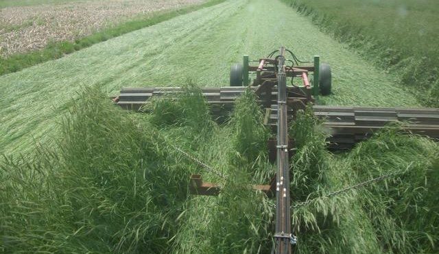 Cover Crop Termination Methods