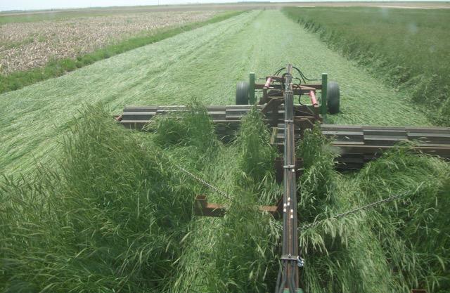 Cover Crop Termination Methods