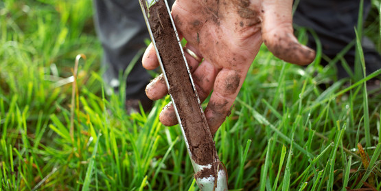 Fall Fertility and Best Practices Amidst Rising Inputs