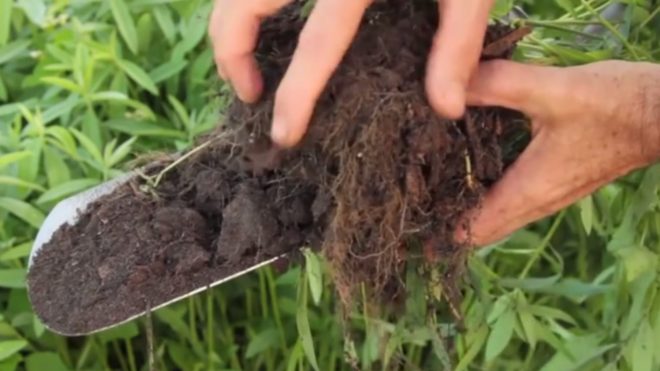 Soil Health: The Structure Your Farm is Built On